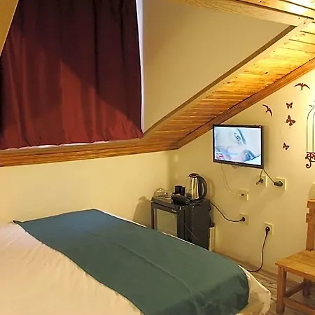 Hot Budget Ortakoy 3* Istanbul