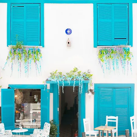 Hot Budget Ortakoy Istanbulská provincie